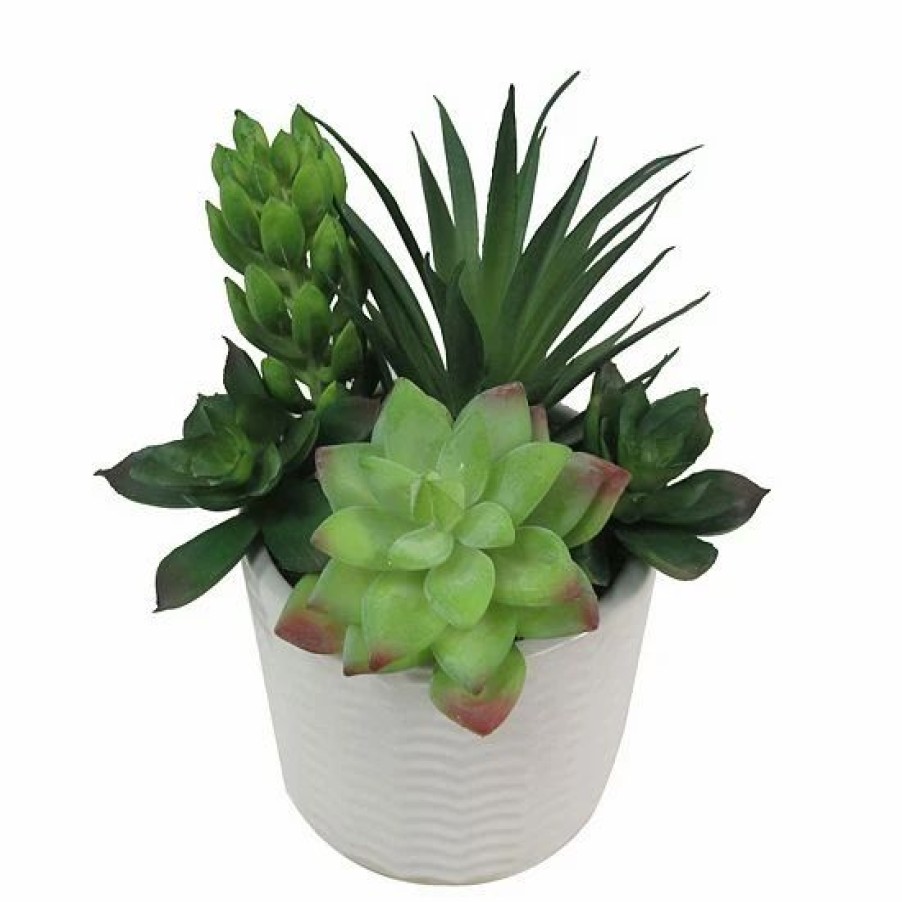 Home Decor * | Sonoma Goods For Life Faux Succulents & Pot