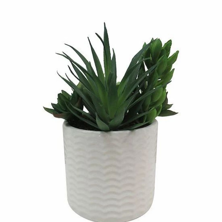 Home Decor * | Sonoma Goods For Life Faux Succulents & Pot