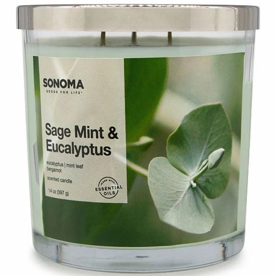 Home Decor * | Sonoma Goods For Life Sage Mint & Eucalyptus 14-Oz. Candle Jar