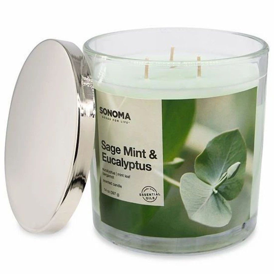 Home Decor * | Sonoma Goods For Life Sage Mint & Eucalyptus 14-Oz. Candle Jar