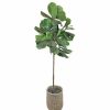 Home Decor * | Sonoma Goods For Life Artificial Fiddle Leaf Fig Floor Decor