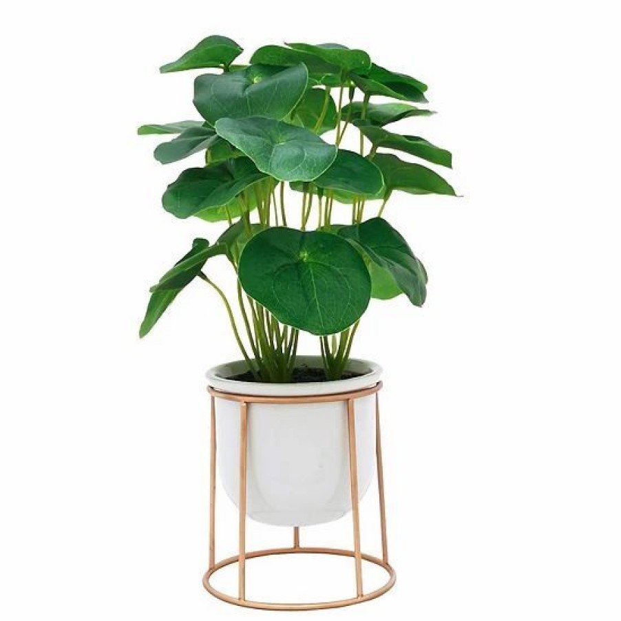 Home Decor * | Sonoma Goods For Life Friendship Plant & Ceramic Pot With Gold Metal Stand