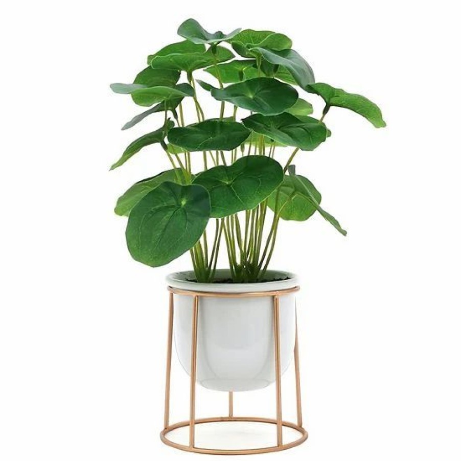 Home Decor * | Sonoma Goods For Life Friendship Plant & Ceramic Pot With Gold Metal Stand