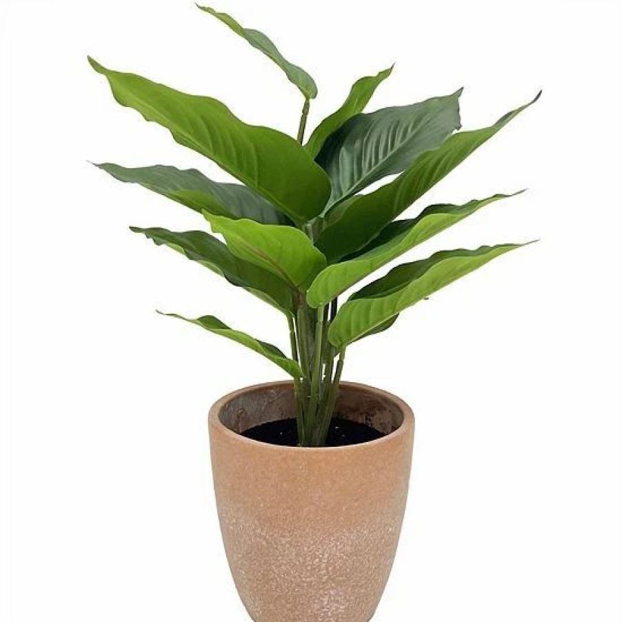 Home Decor * | Sonoma Goods For Life Artificial Leafy Plant Floor Decor