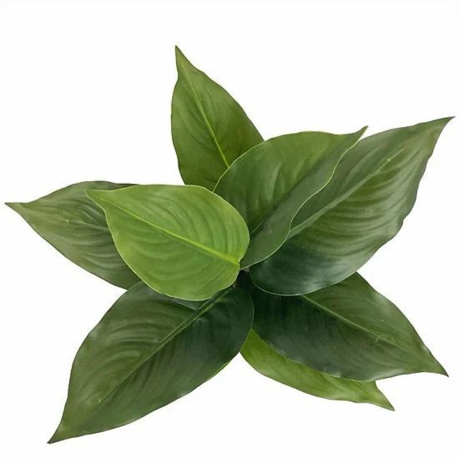 Home Decor * | Sonoma Goods For Life Artificial Leafy Plant Floor Decor