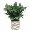 Home Decor * | Sonoma Goods For Life Sonoma Faux House Plant