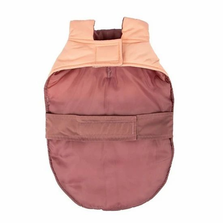 Pet Supplies * | Sonoma Goods For Life Color Block Pet Puffer Jacket