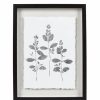 Home Decor * | Sonoma Goods For Life Botanical Shadowbox Framed Wall Art