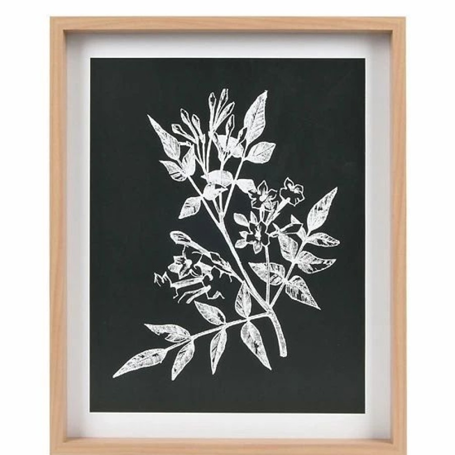 Home Decor * | Sonoma Goods For Life Printed Wood Frame Reverse Botanical Wall Decor