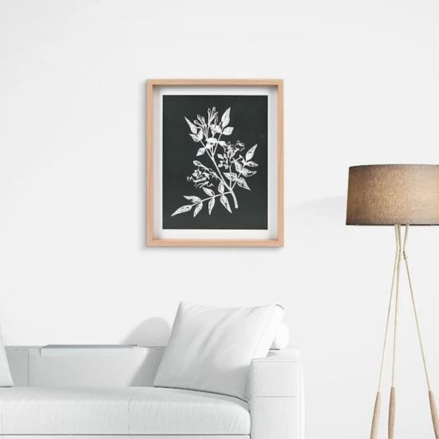 Home Decor * | Sonoma Goods For Life Printed Wood Frame Reverse Botanical Wall Decor