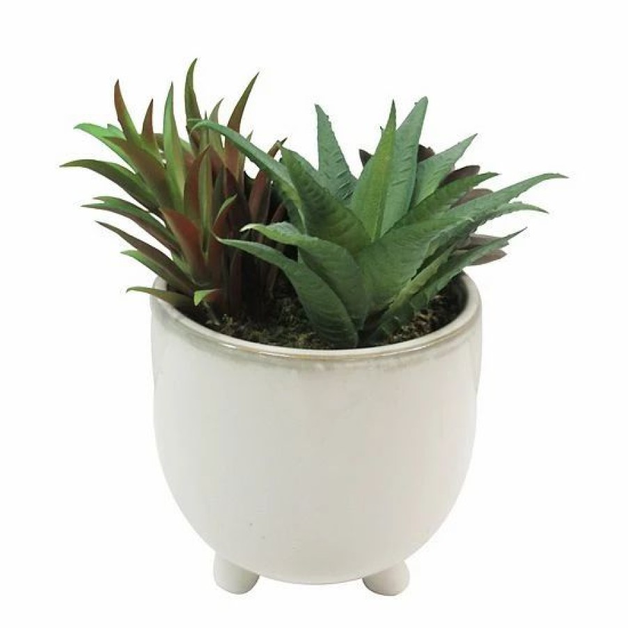 Home Decor * | Sonoma Goods For Life Faux Succulents In Ceramic Glazed Pot