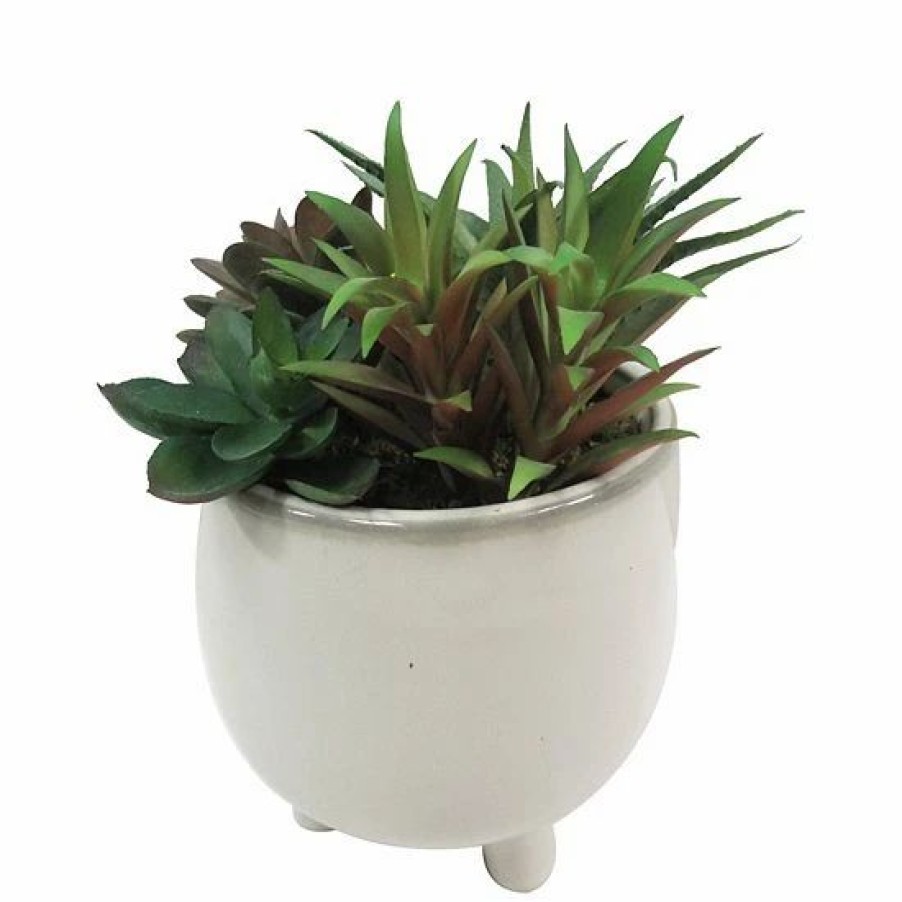 Home Decor * | Sonoma Goods For Life Faux Succulents In Ceramic Glazed Pot