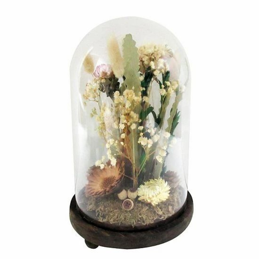 Home Decor * | Sonoma Goods For Life Dried Flowers Cloche Table Decor