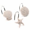 Bed & Bath * | Sonoma Goods For Life Shoreline Shell 12-Pk. Shower Curtain Hooks