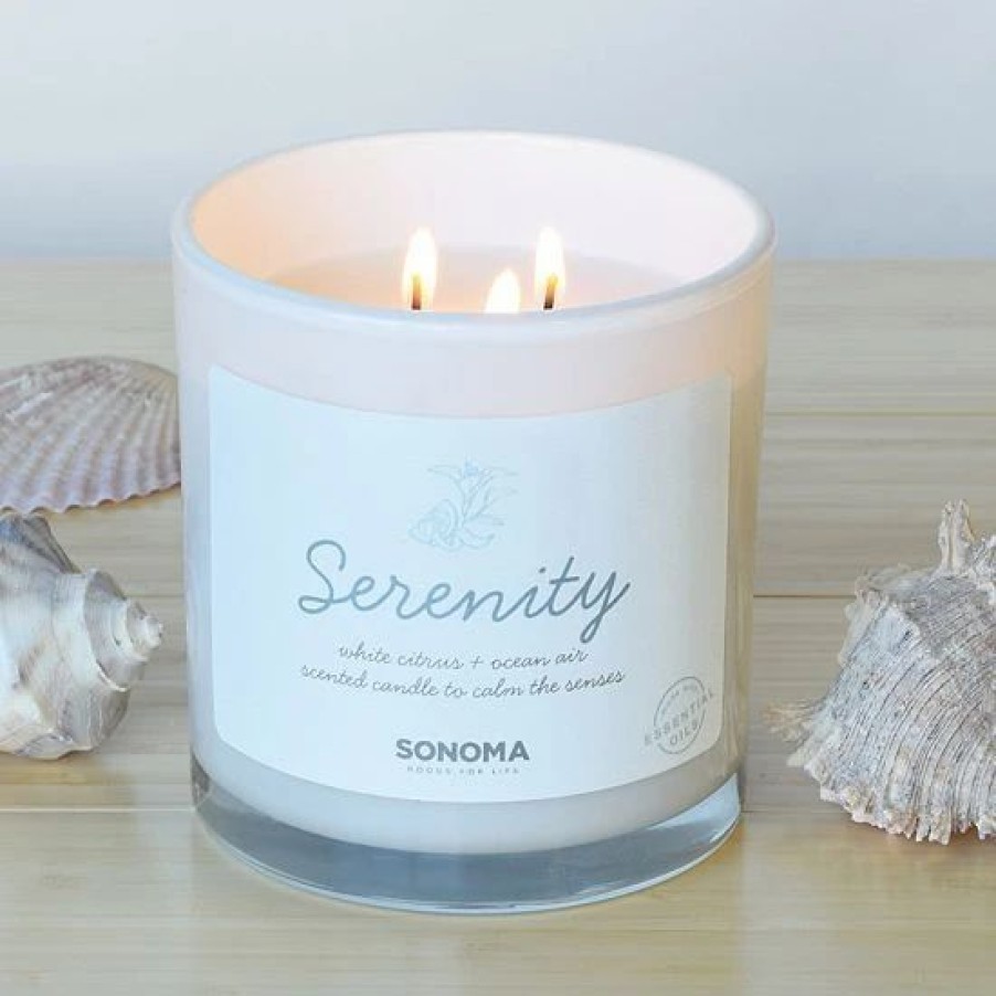 Home Decor * | Sonoma Goods For Life 13-Oz. Serenity White Citrus & Ocean Air 3-Wick Jar Candle