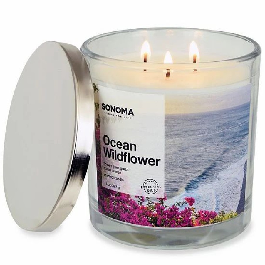 Home Decor * | Sonoma Goods For Life 14-Oz. Ocean Wild Flowers Candle Jar