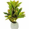 Home Decor * | Sonoma Goods For Life Artificial Potted Greenery Floor Decor