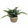 Home Decor * | Sonoma Goods For Life Artificial Mixed Greenery Plant Table Decor